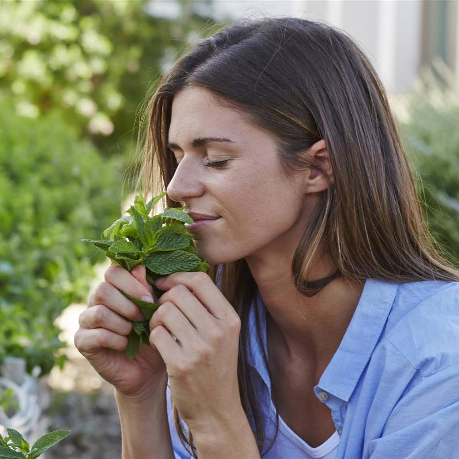 vahos terapeuticos