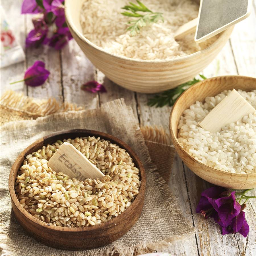 varios tipos de arroz