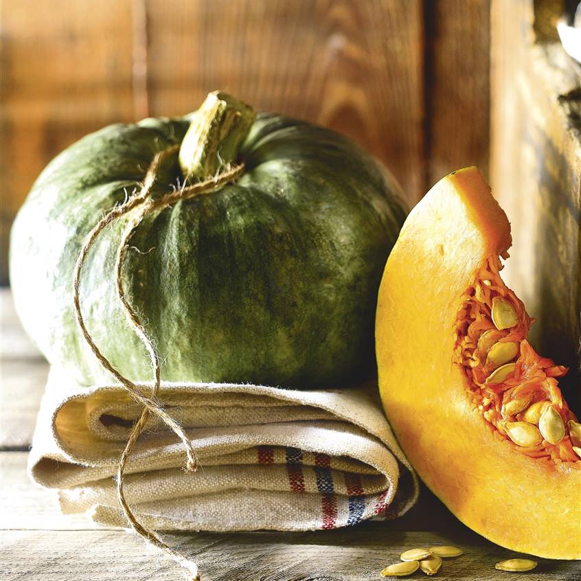 varios tipos de calabaza