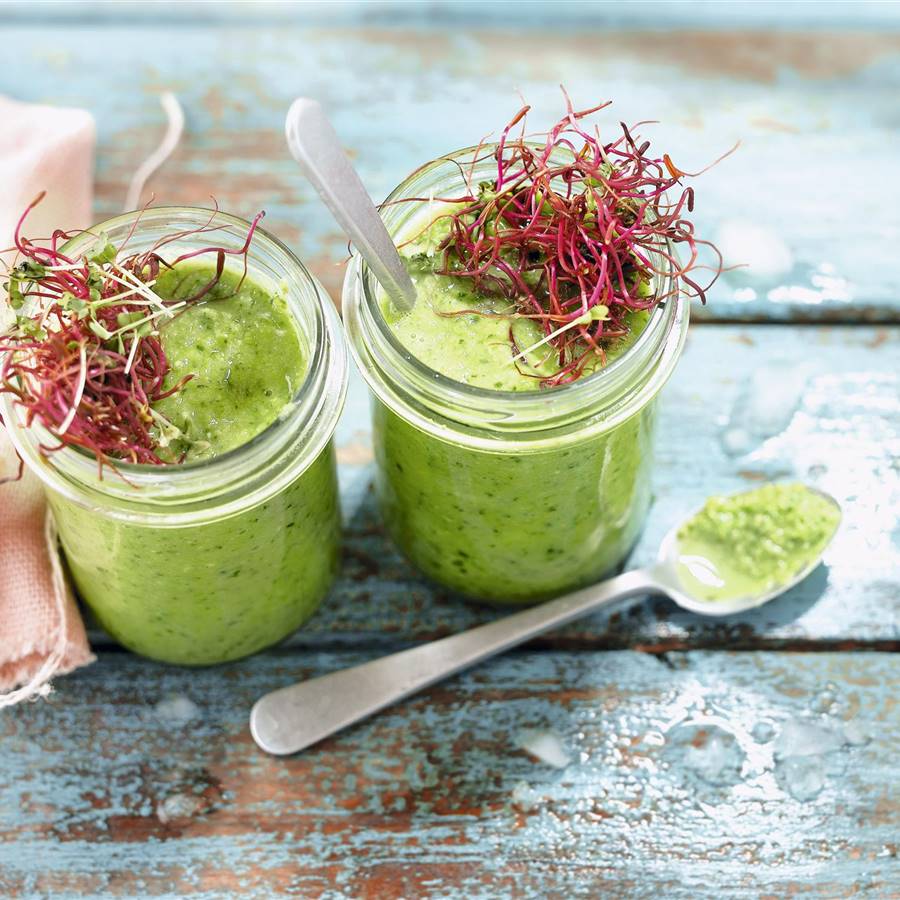 Zumos verdes, cuál escoger según tus necesidades