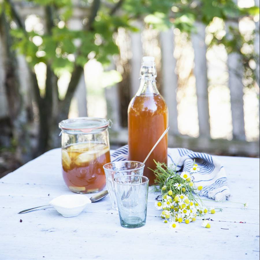 3 consejos que tener en cuenta si tomas kombucha 