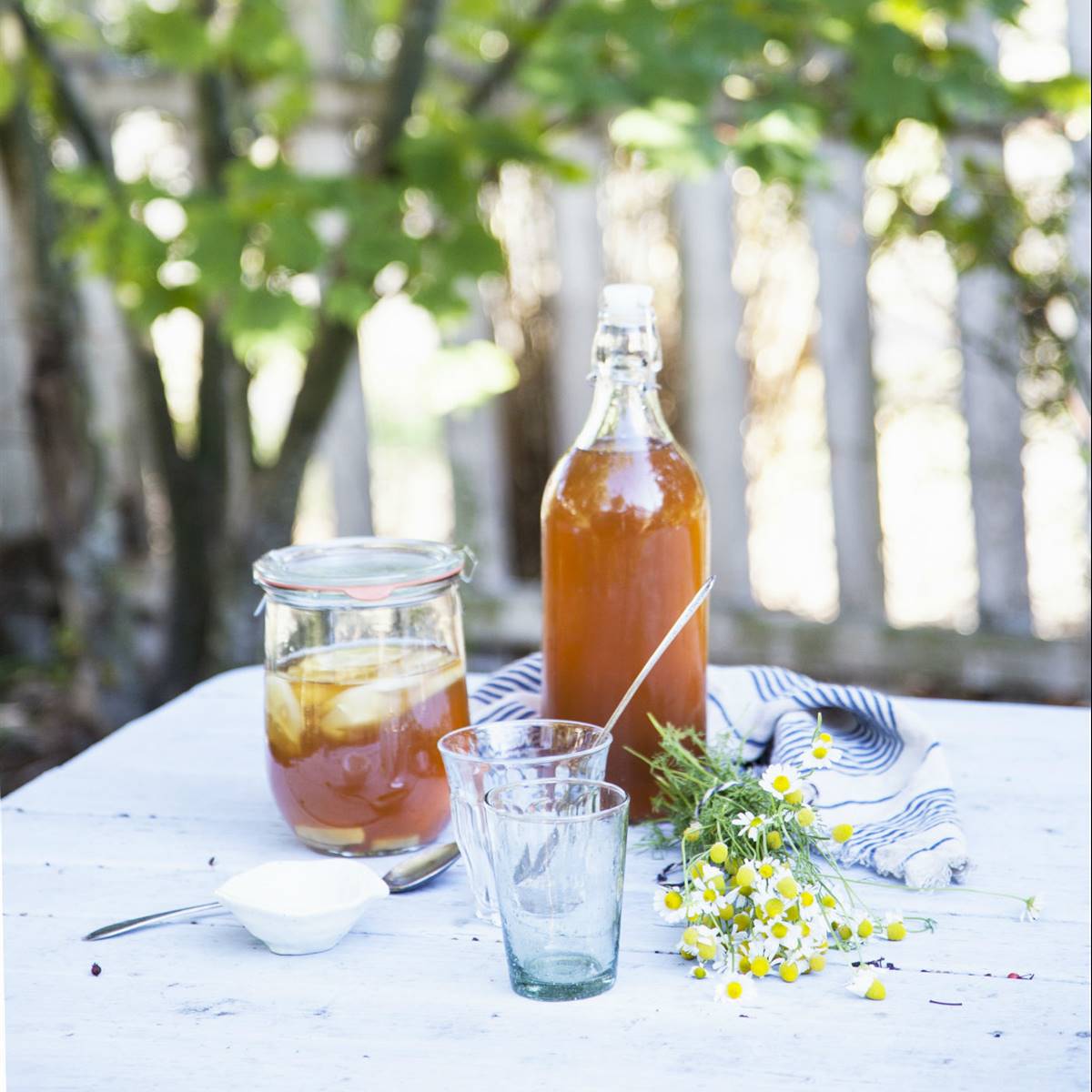 kombucha