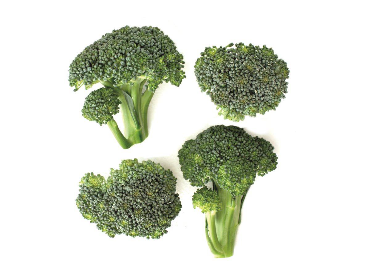 brocoli