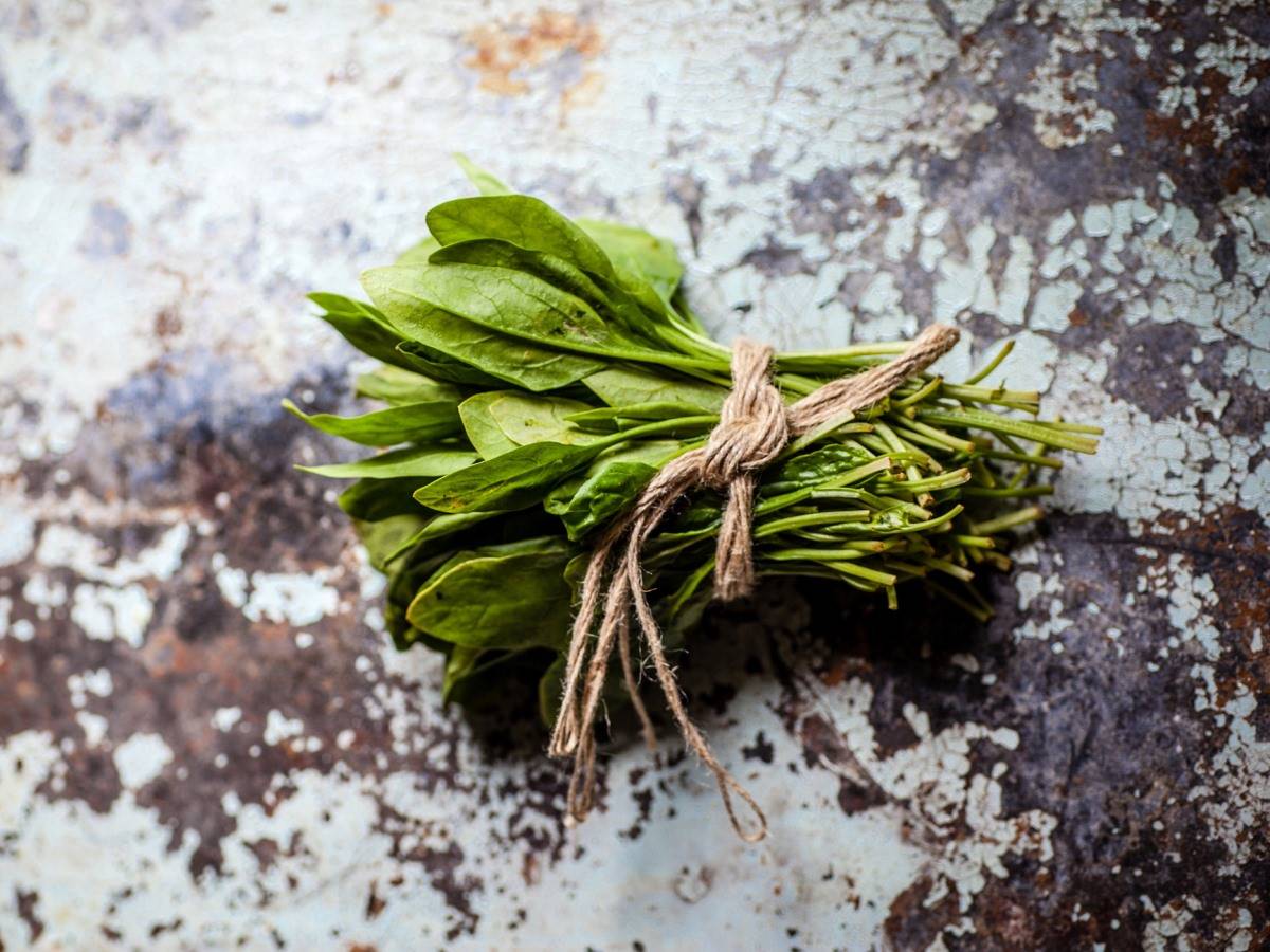 Espinacas