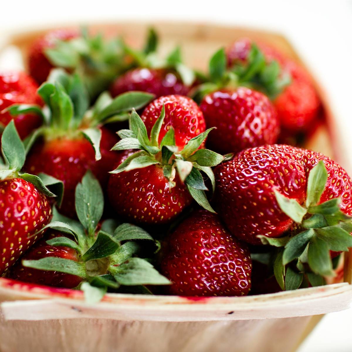 fresas