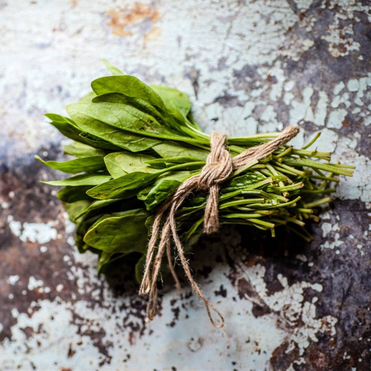Espinacas