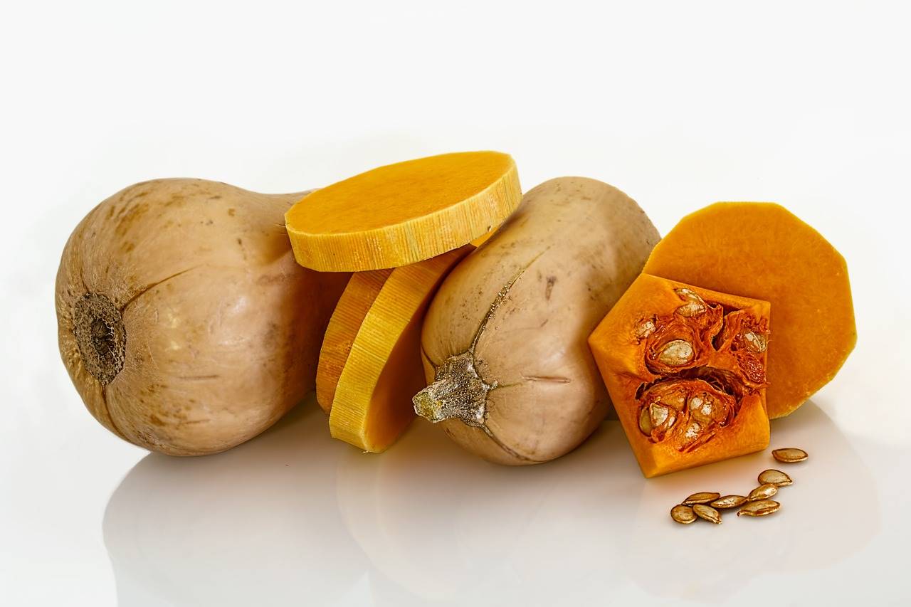 butternut-squash-399415 1280