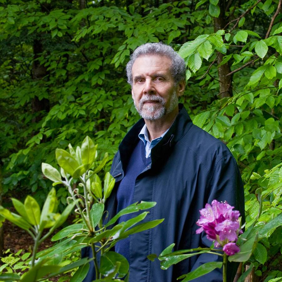 Daniel-Goleman