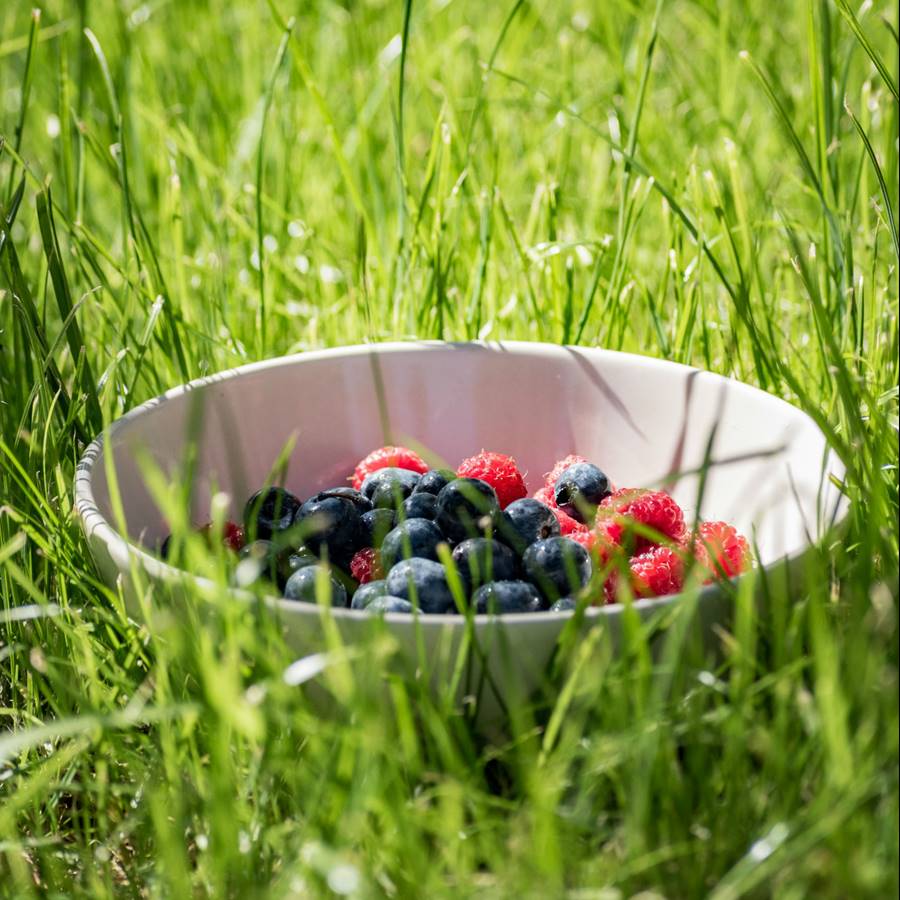 antioxidantes-verano