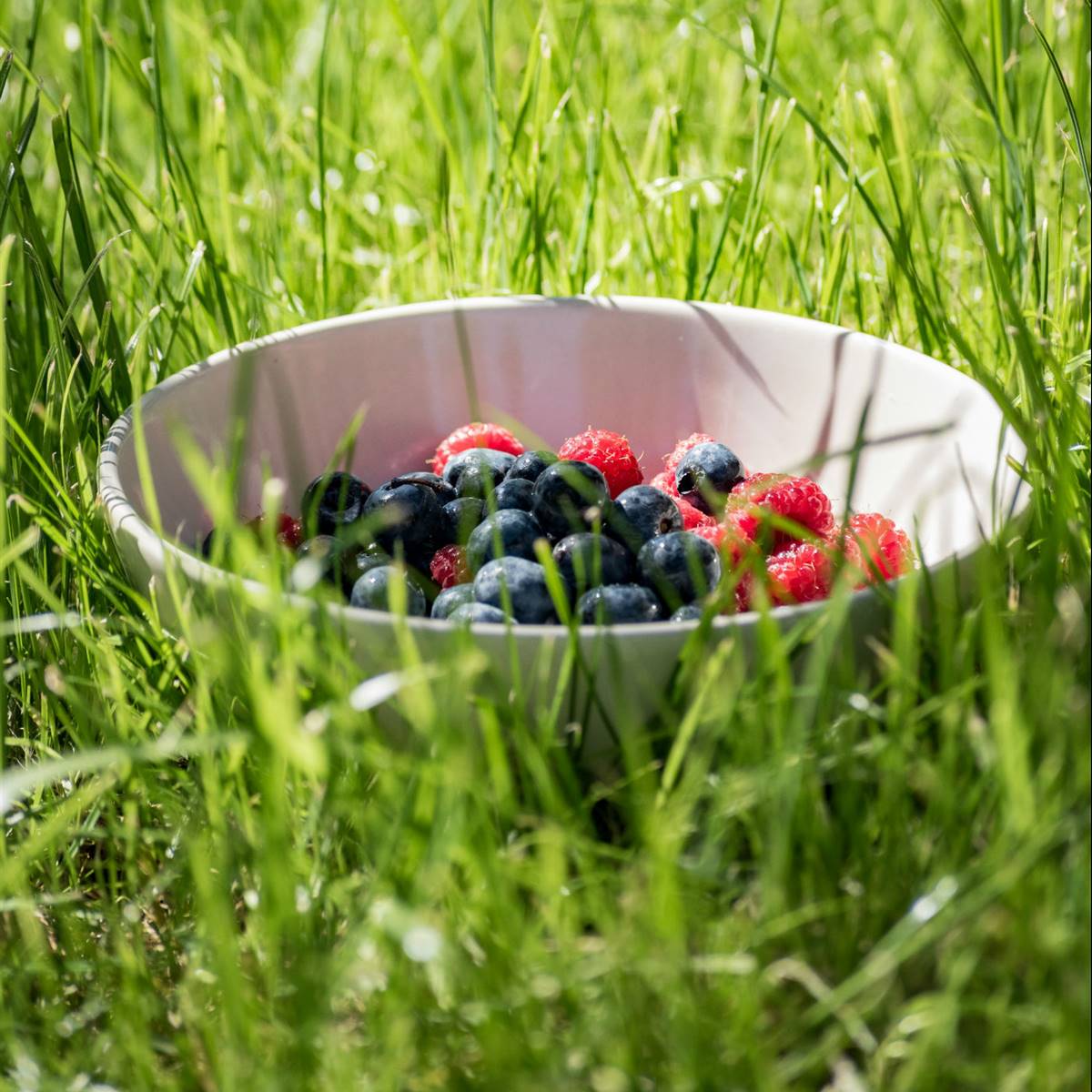 antioxidantes-verano