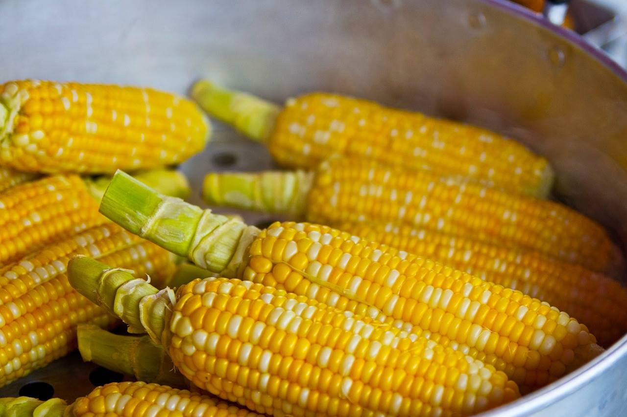pop-corn-785074 1280