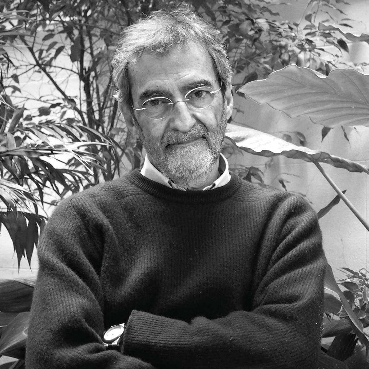 entrevista-joan-ramon-laporte-abuso-medicamentos
