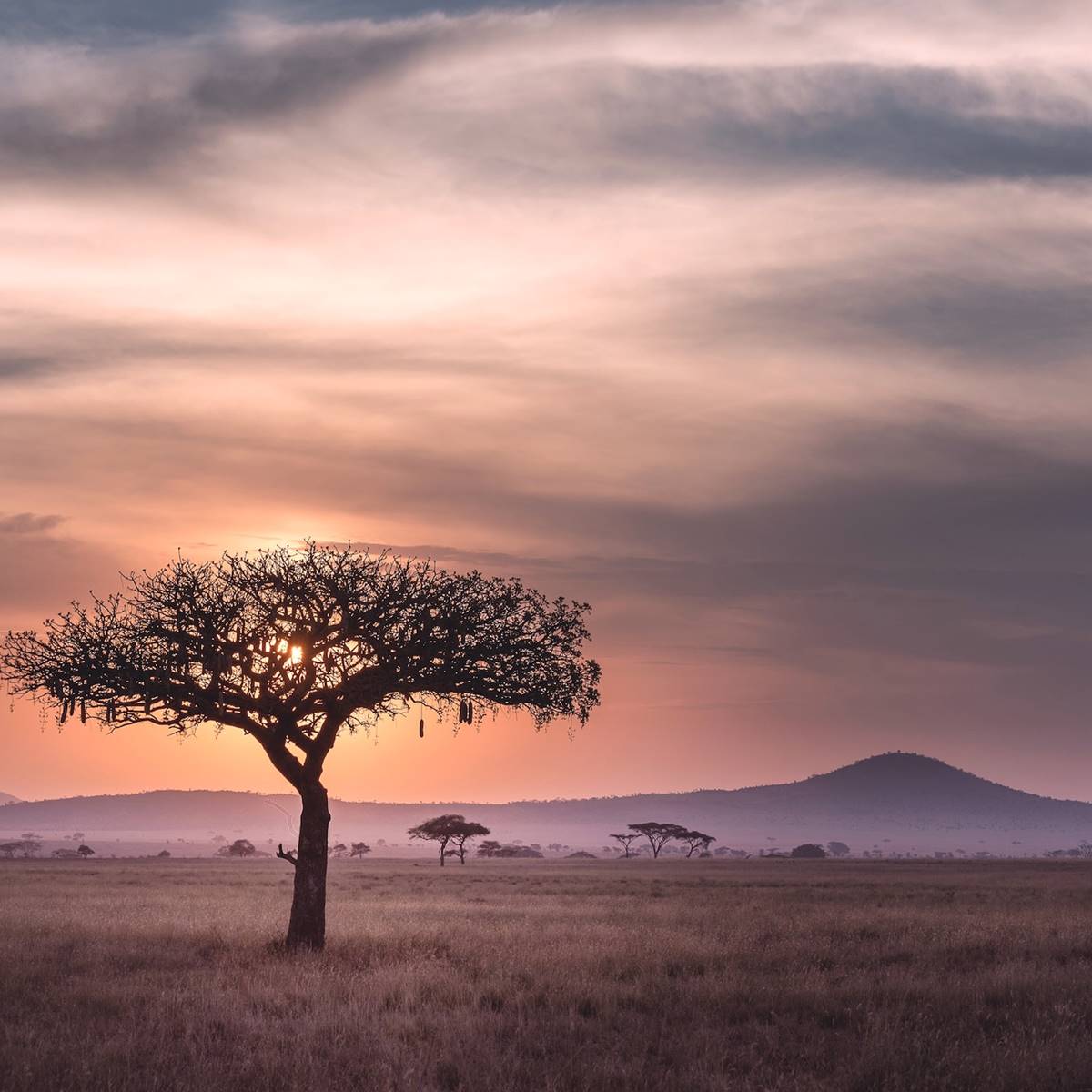 cuento kilimanjaro las cosas pasan por algo