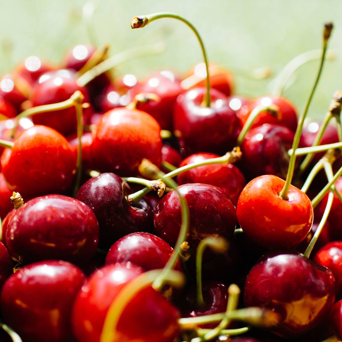 cerezas