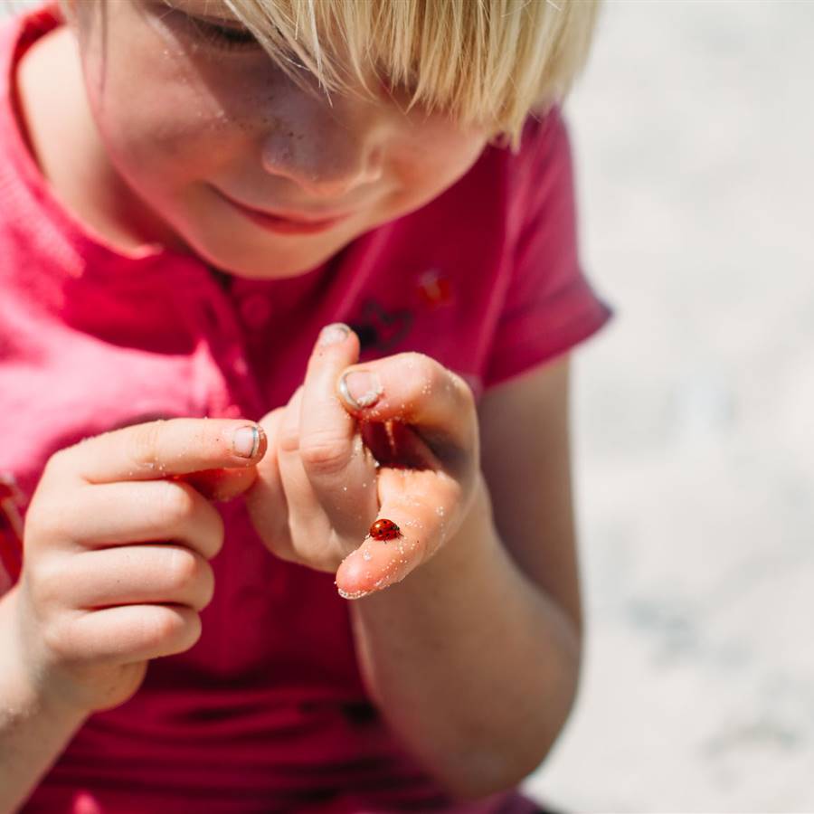 Así funciona el desarrollo infantil ¿cómo activar todo su potencial?