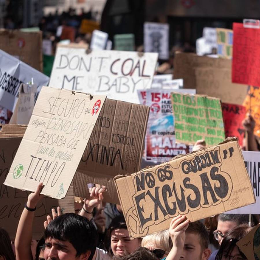 fridays for future