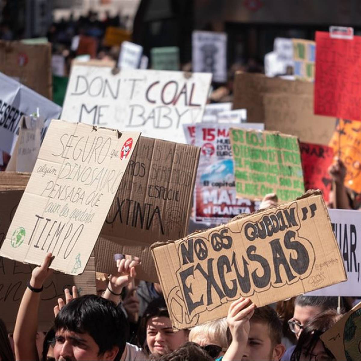 fridays for future