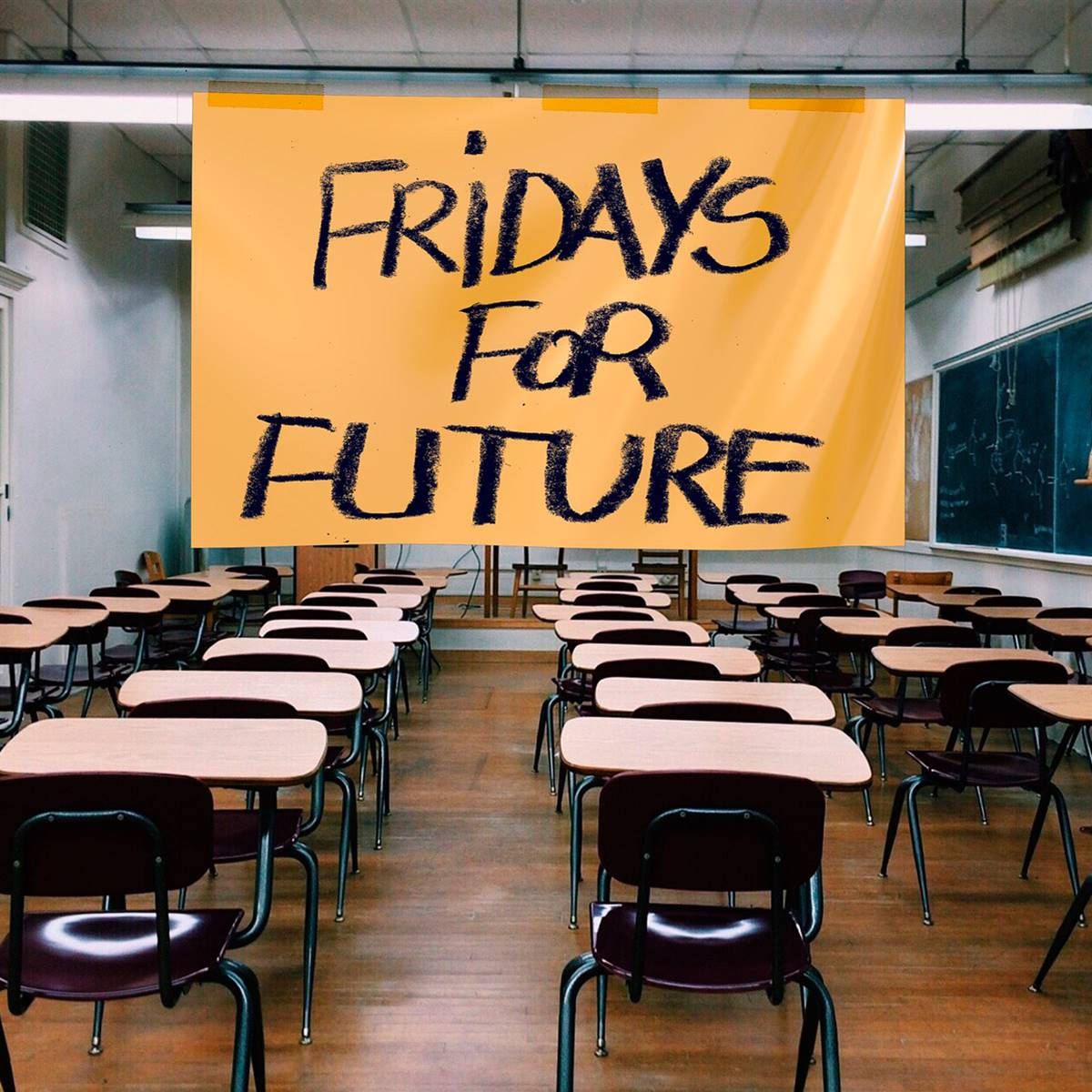 fridays for future 2
