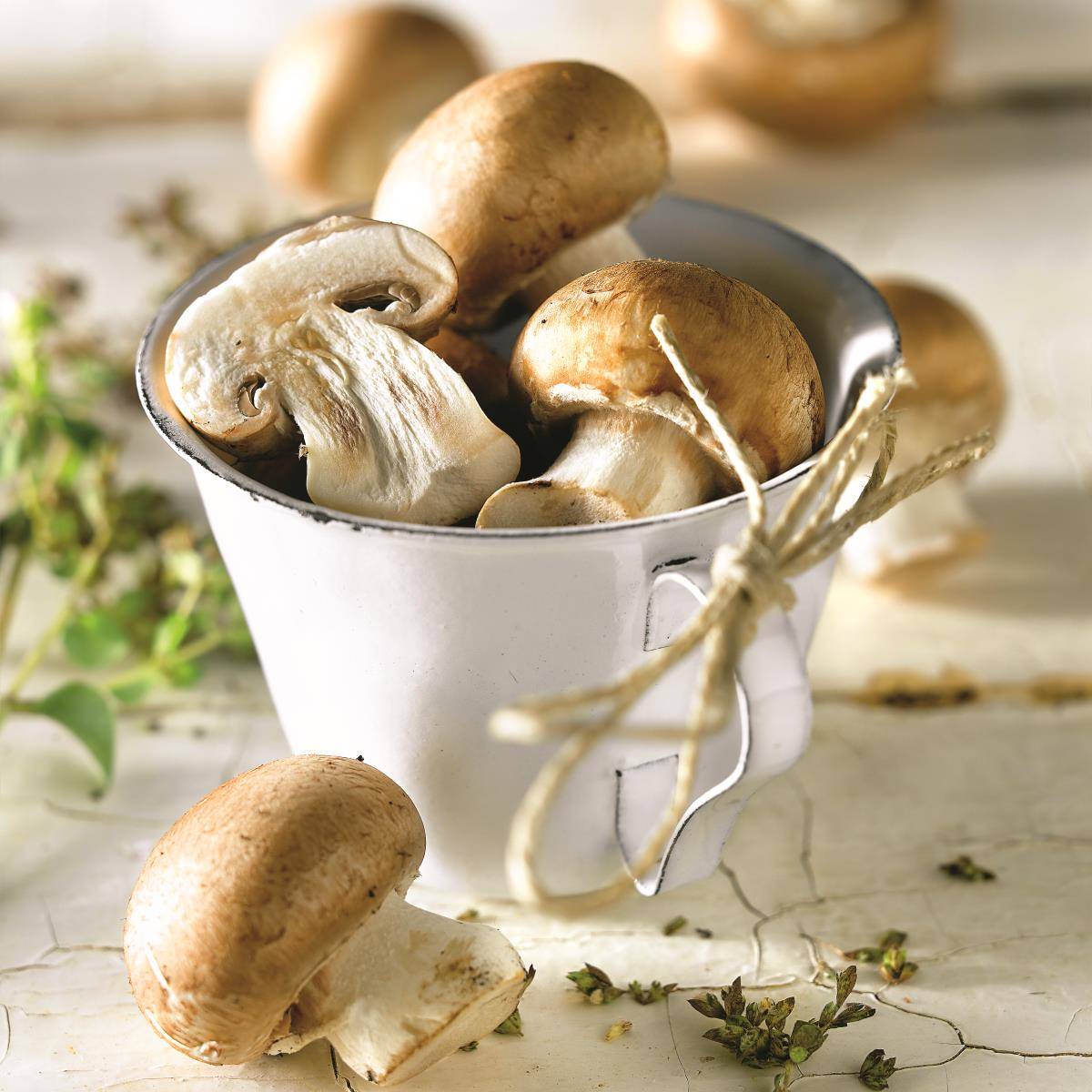 champiñones
