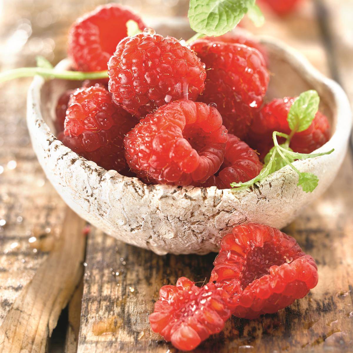 frutos rojos