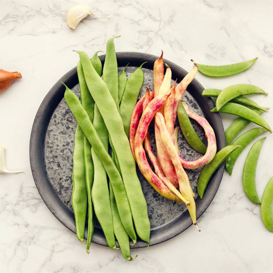 Judía verde: beneficios, El superalimento sin nada de grasa que controla  la hipertensión, el colesterol y depura el organismo