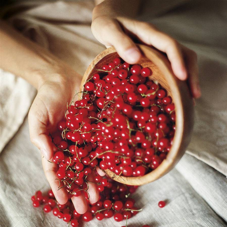 Frutos rojos dieta antiestrogenica