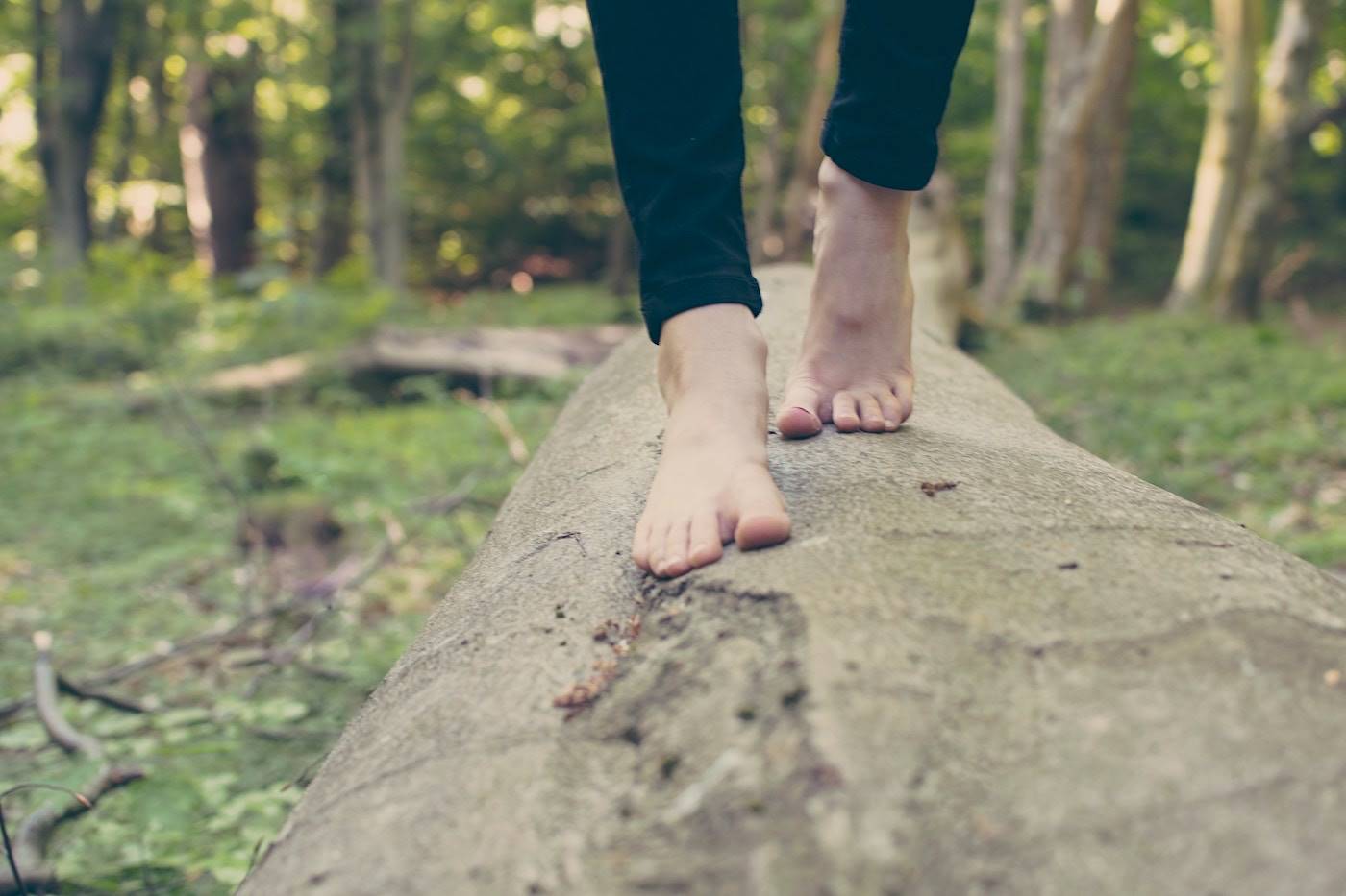 Natural Vibe - Somos constituídos pelos 5 elementos (Terra, Água, Fogo, Ar  e Éter) eles fazem parte de nosso perfil físico, emocional, mental e  espiritual. 1o✨TERRA✨Uma análise química do solo comparada com