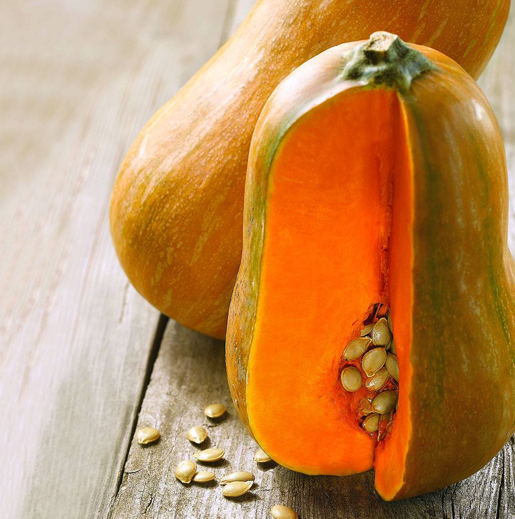 calabaza