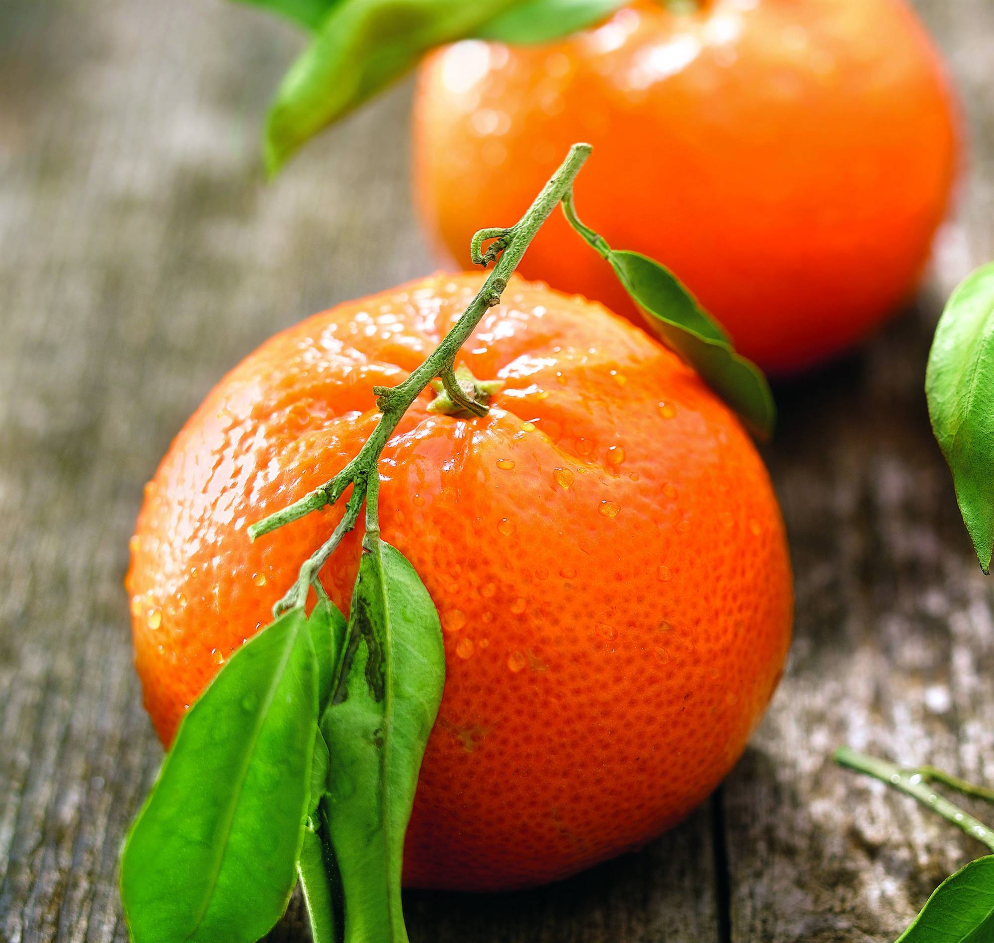 mandarina