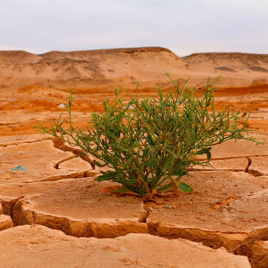 Los países mediterráneos sufriremos más el cambio climático