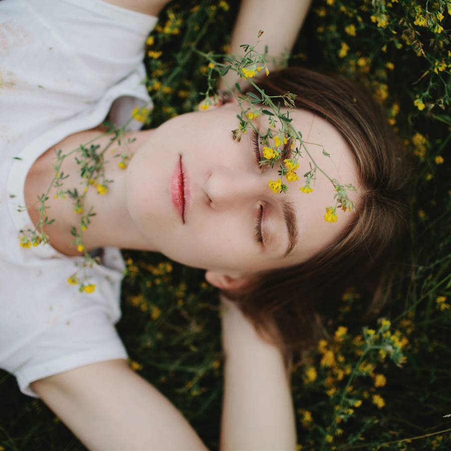 biomimetica-diseño-inteligente-naturaleza