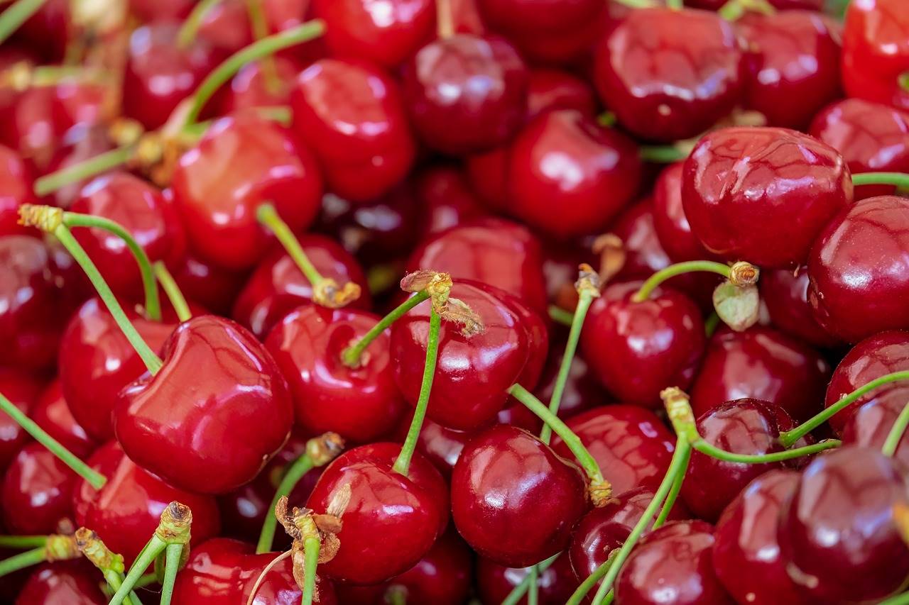 cerezas