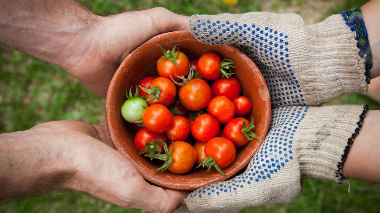 Compra productos sin plásticos