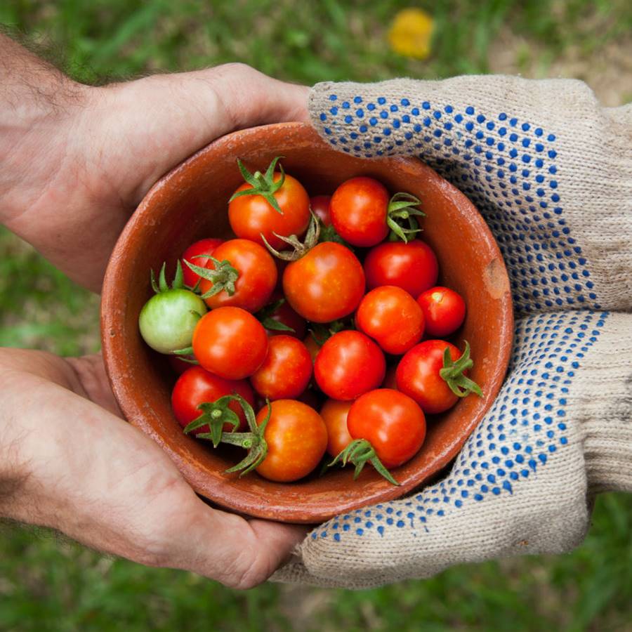 8 opciones para congelar sin plásticos