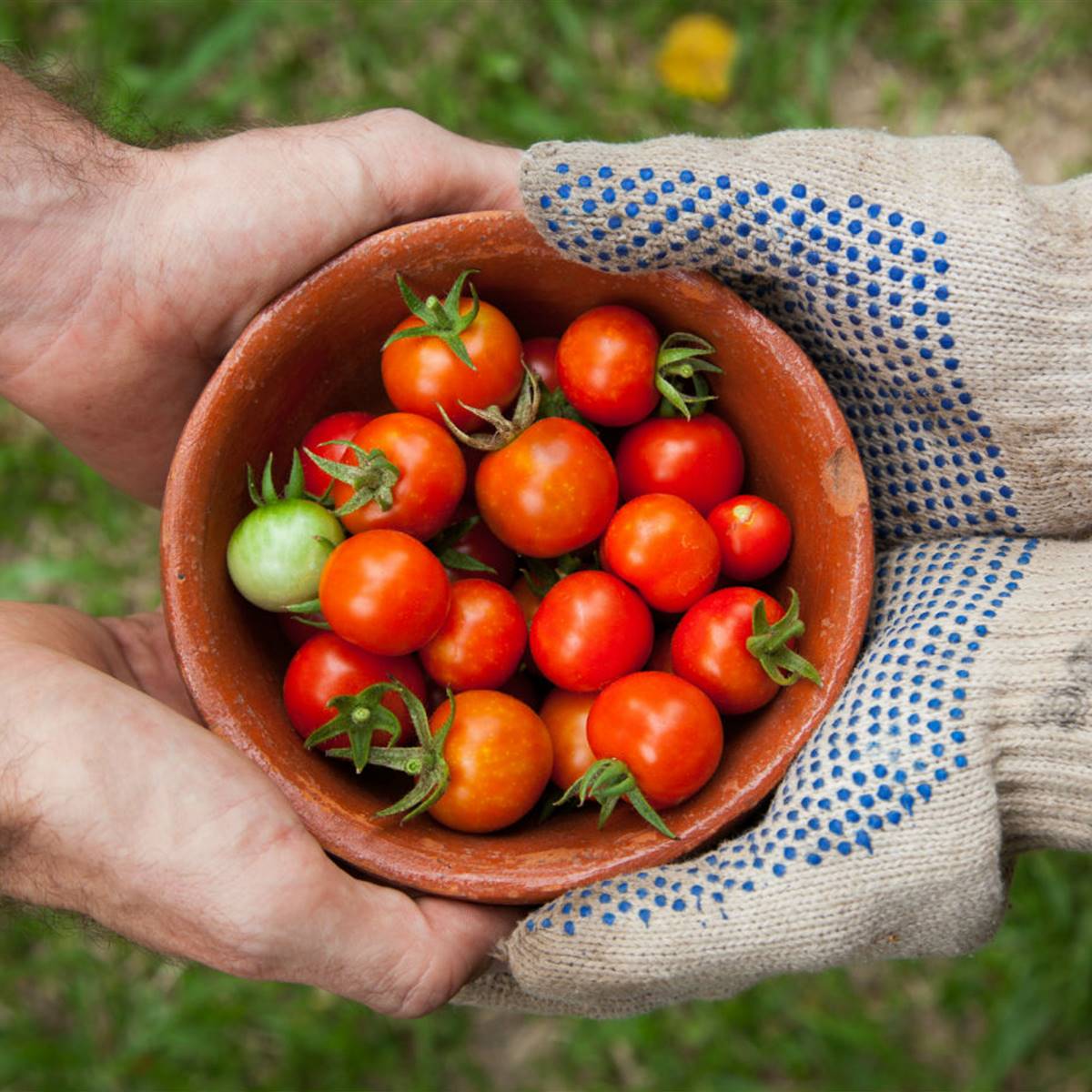 8 opciones para congelar sin plásticos