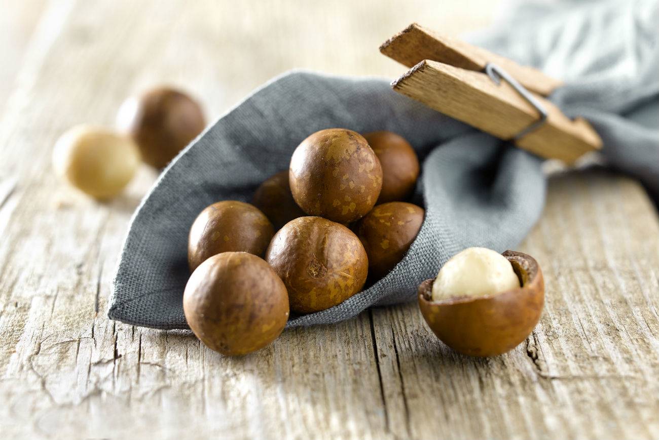 macadamia