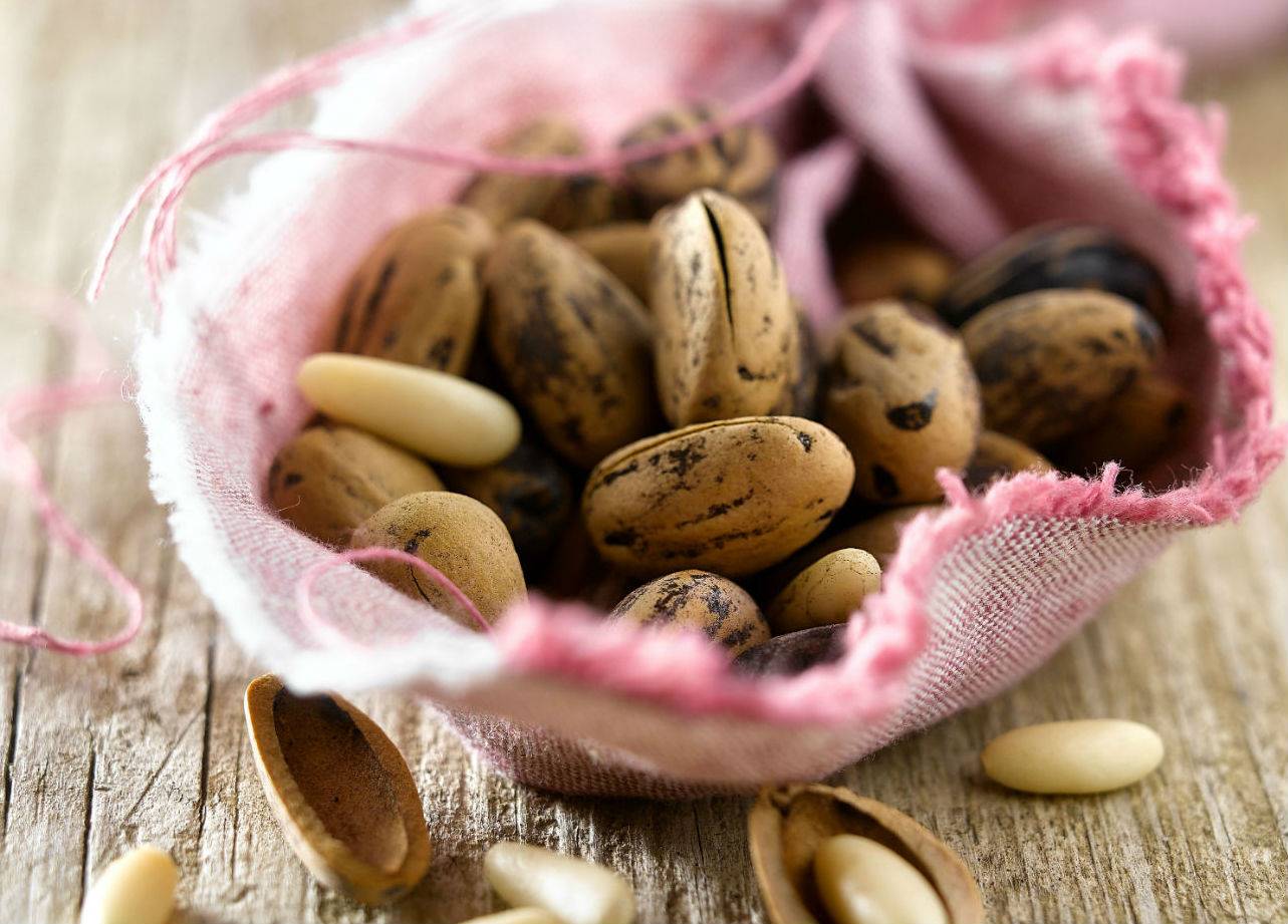 pinones
