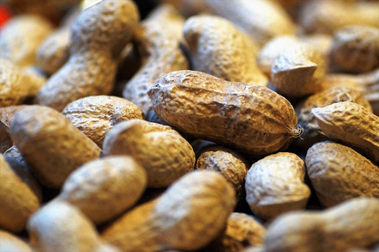 cacahuete