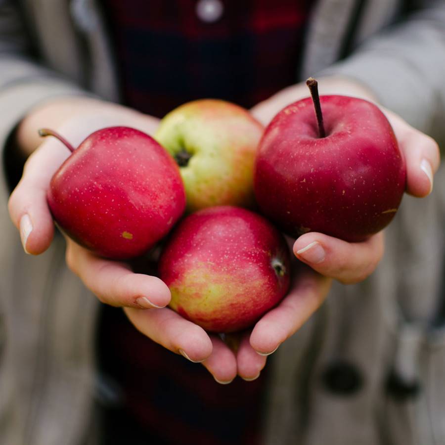 Alimentos y nutrientes: influencia en los genes