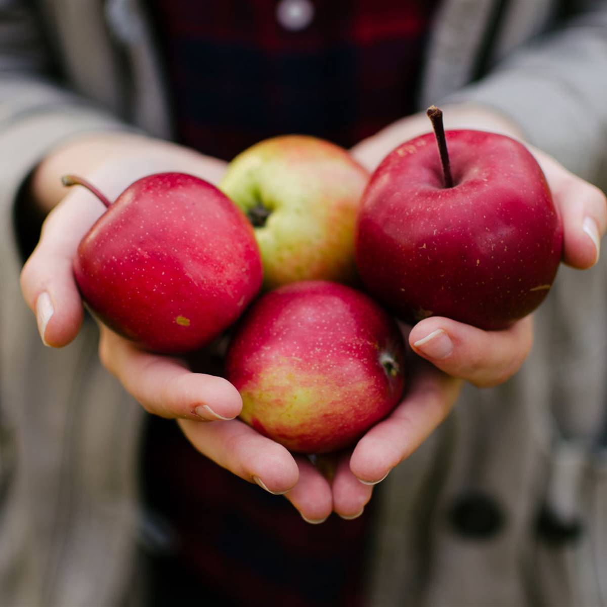 Alimentos y nutrientes: influencia en los genes