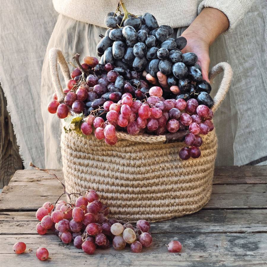 Como influye la alimentacion en los genes