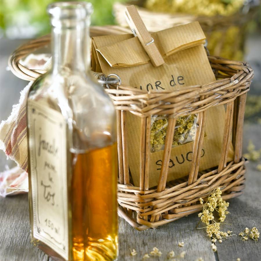 8 remedios naturales contra dolencias comunes 
