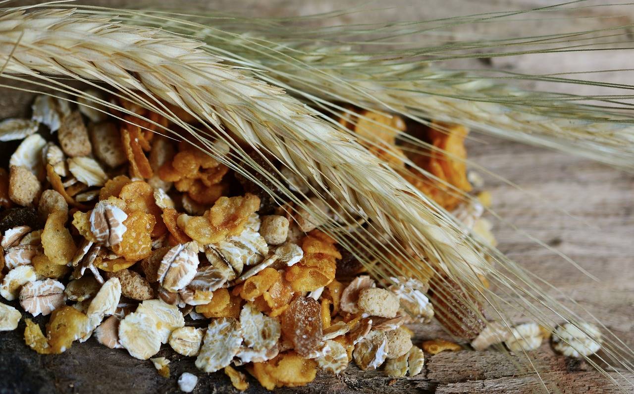 muesli-corazon