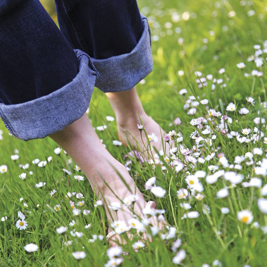 Dos horas de naturaleza por semana mejoran tu salud