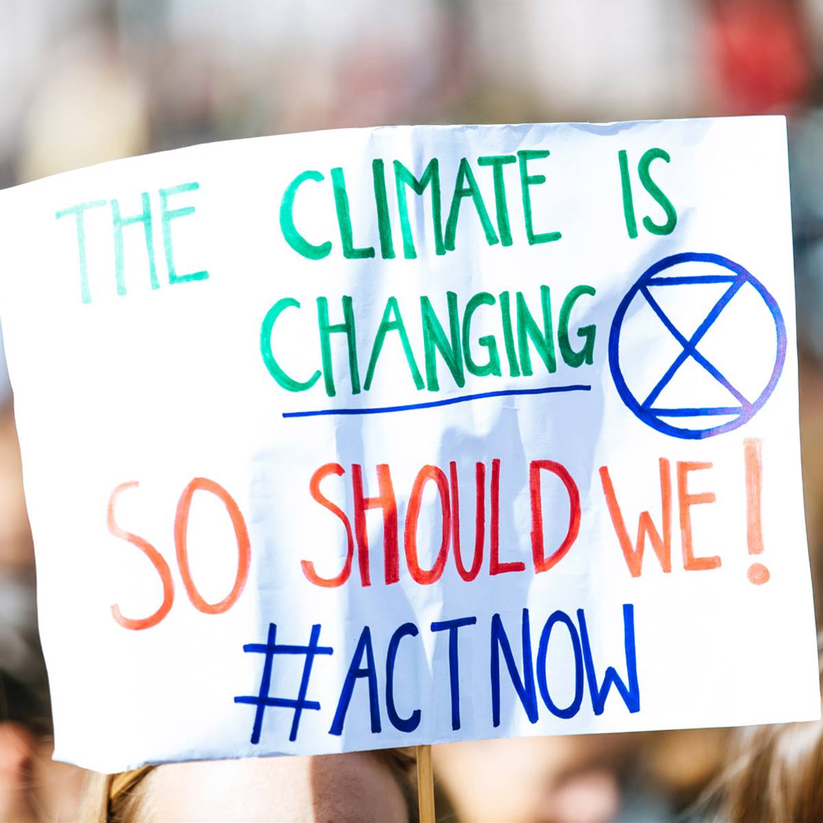 Action now cambio climatico