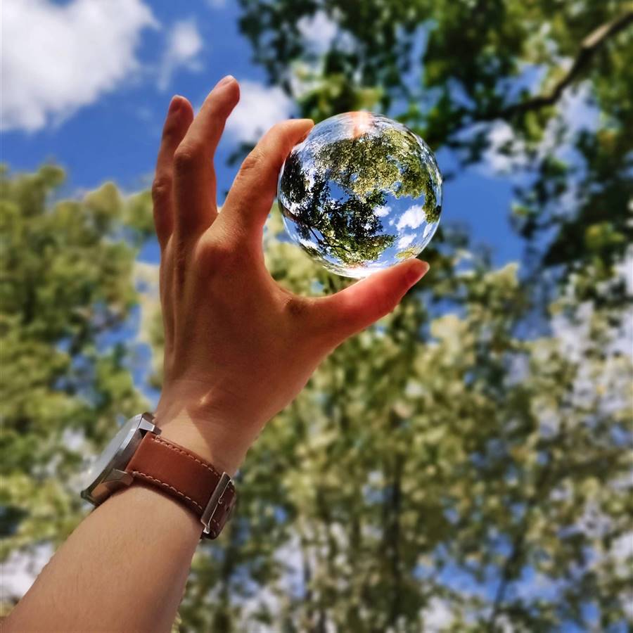 Día Mundial de la Salud de 2022: Nuestro planeta, nuestra salud