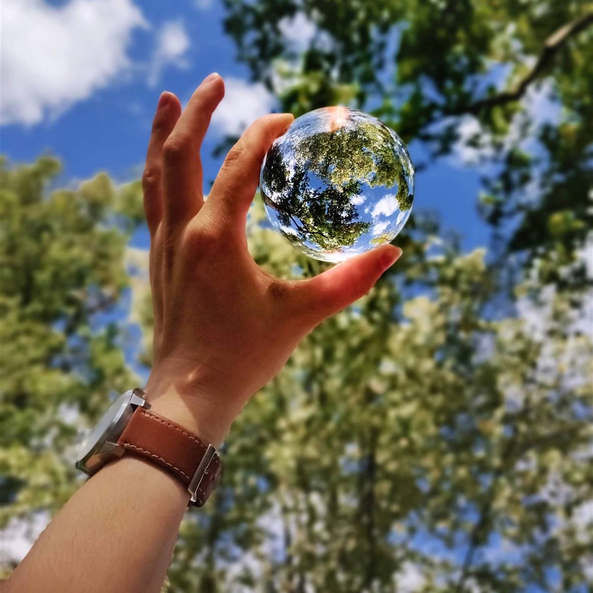 salud planetaria beneficios