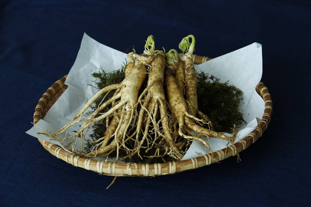 ginseng-