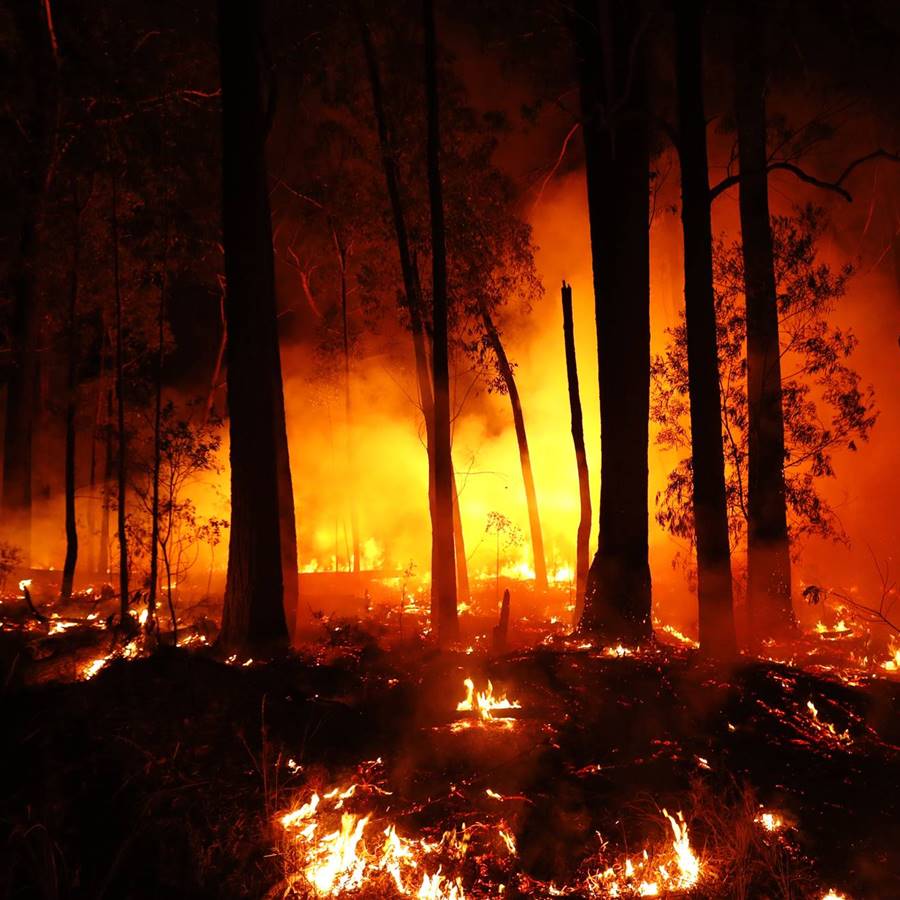 El cambio climático está tras el aumento de los incendios