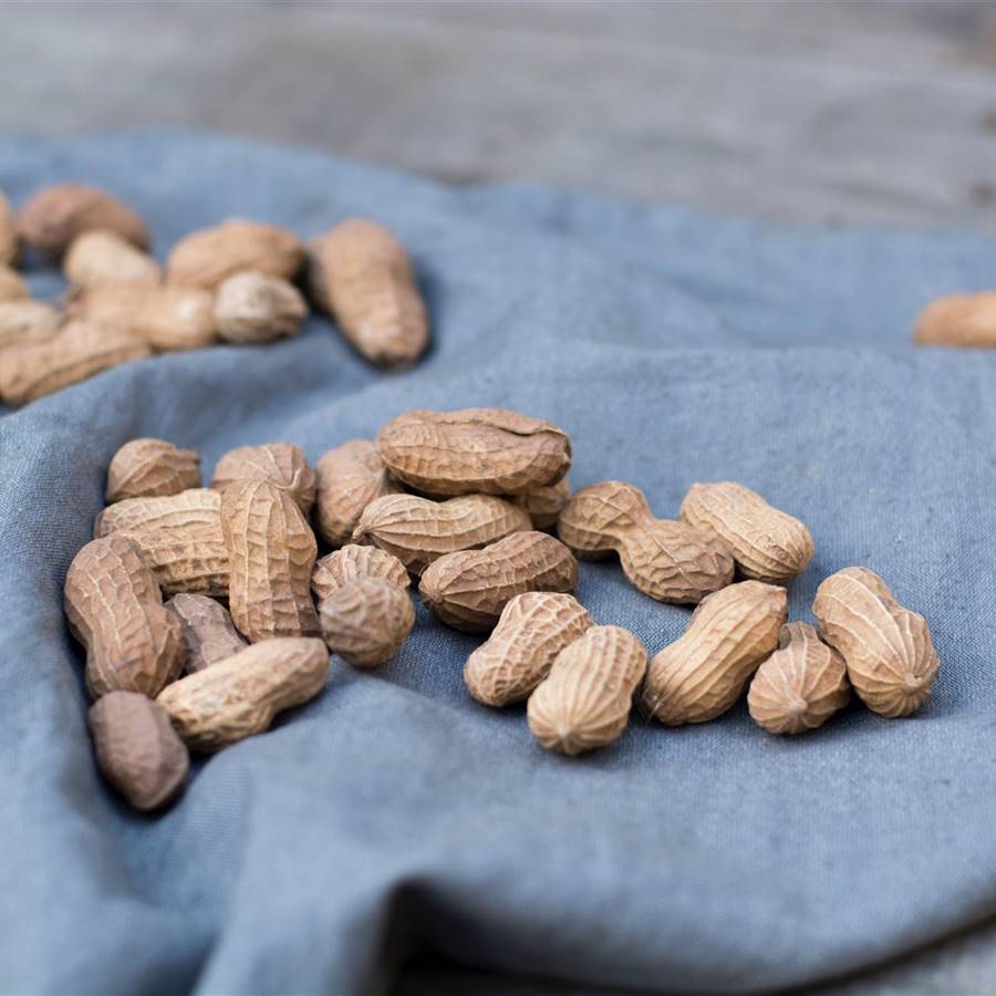 Cacahuetes: vitamina B3 contra el estrés